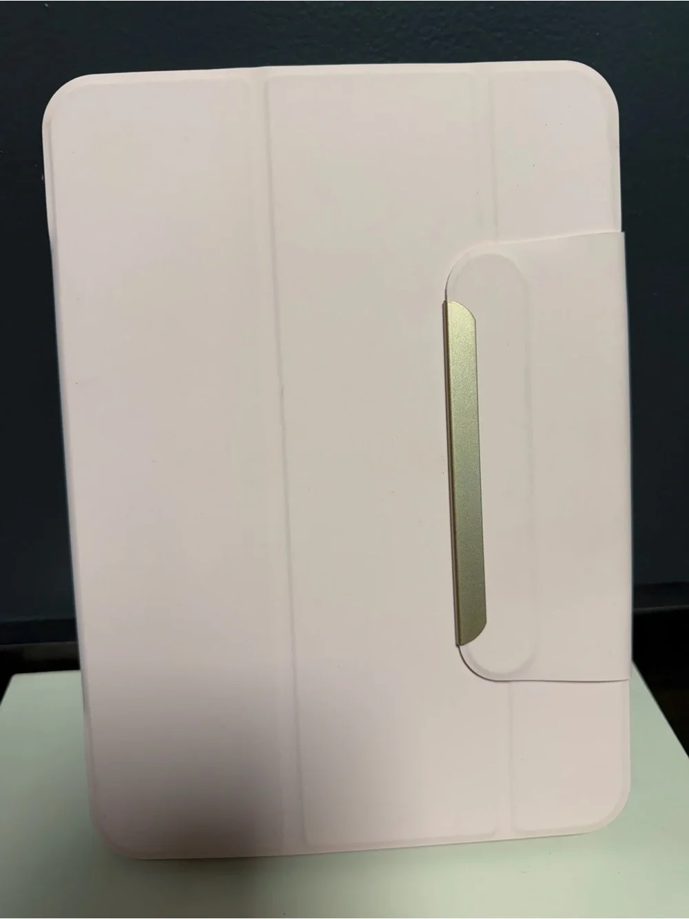 heyday Light Pink and Multicolor Tablet Folio Case with Gold Trim for IPad Pro11